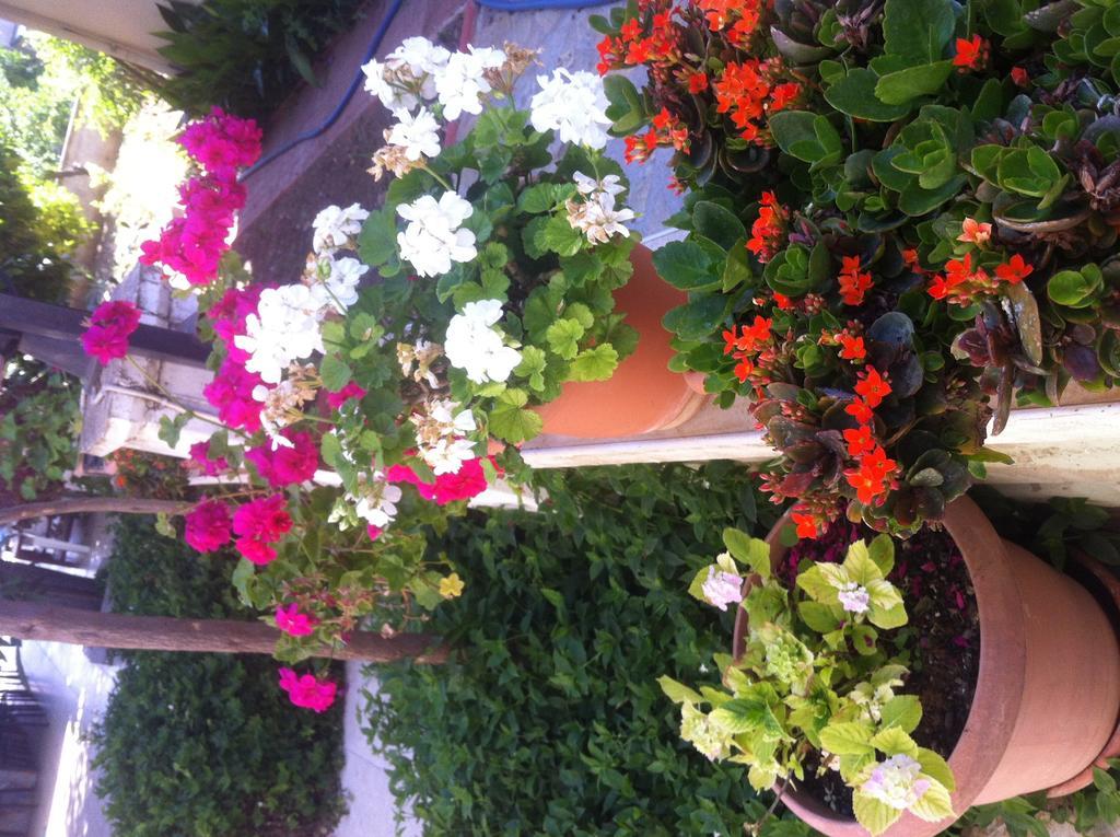 Besik Hotel Fethiye Exterior photo