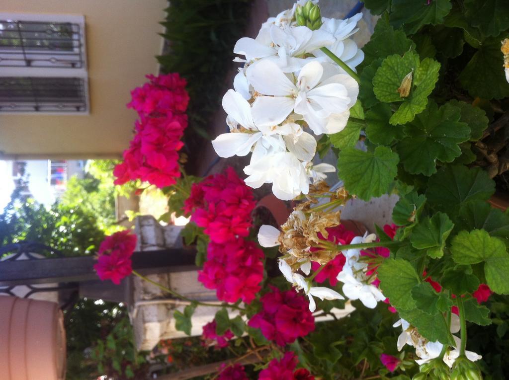 Besik Hotel Fethiye Exterior photo
