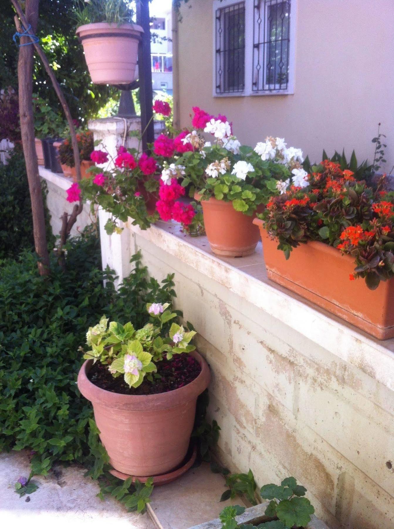 Besik Hotel Fethiye Exterior photo